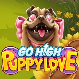 Go High Puppy Love game by RubyPlay – logo hosted on Lolo Casino